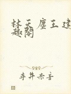 林天尘王建堂笔趣阁封面