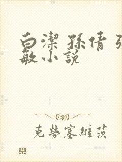 白洁 孙倩 张敏小说