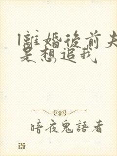 l离婚后前夫总是想追我