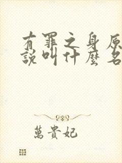 有罪之身原著小说叫什么名字