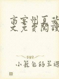 商宴州夏若初全文免费阅读封面