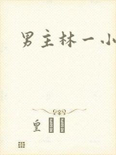 男主林一小说封面