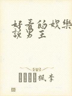 好看的娱乐圈小说男主