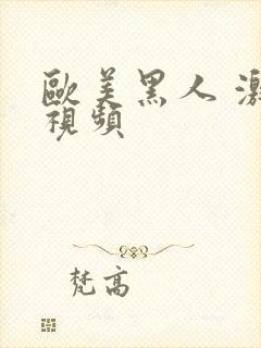 欧美黑人 激情视频