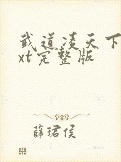 武道凌天下载txt完整版