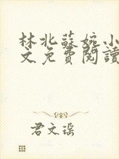 林北苏婉小说全文免费阅读最新章节