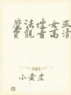 魔法坏女巫2免费观看高清封面