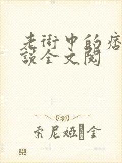 老街中的痞子小说全文阅