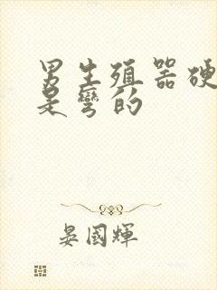 男生殖器硬起来是弯的封面