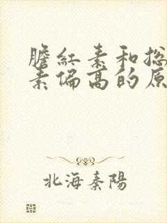 胆红素和总胆红素偏高的原因及危害