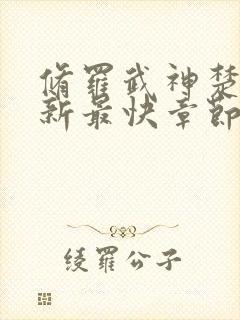 修罗武神楚枫更新最快章节