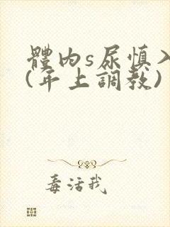 体内s尿慎入h(年上调教)