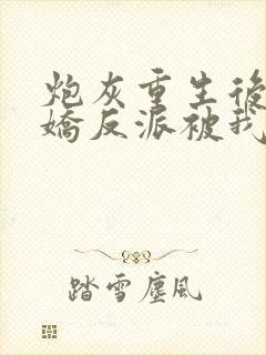 炮灰重生后,病娇反派被我撩哭了免费阅读封面