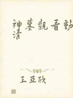 神墓观看动漫高清