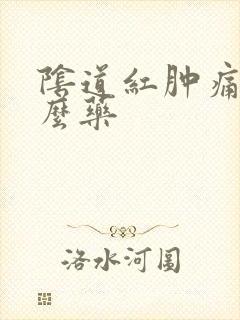 阴道红肿痛擦什么药