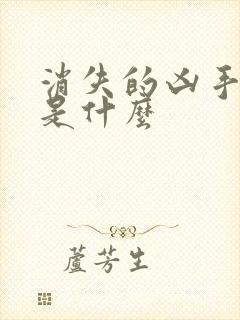 消失的凶手结局是什么封面