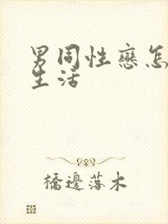 男同性恋怎样性生活