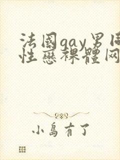 法国gay男同性恋裸体网址