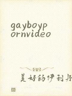 gayboypornvideo