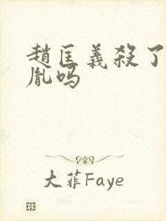 赵匡义杀了赵匡胤吗封面