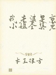 我老婆是京圈大小姐全集免费阅读