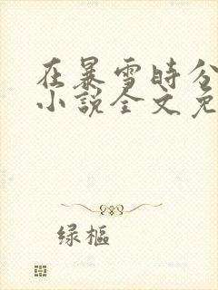 在暴雪时分原著小说全文免费阅读