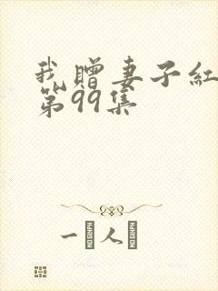 我赠妻子红缨枪第99集