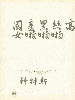 国产黑丝高跟美女啪啪啪