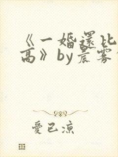 《一婚还比一婚高》by晨雾的光
