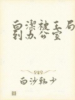 白洁被王局长抱到办公室封面