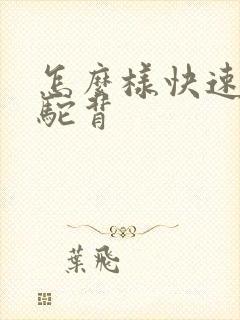 怎么样快速纠正驼背