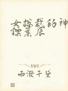 女总裁的神级保镖叶辰