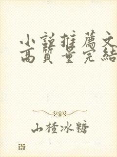 小说推荐文笔好高质量完结言情