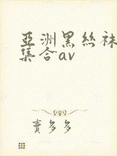 亚洲黑丝袜极品集合av