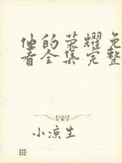 他的荣耀免费观看全集完整版电视剧