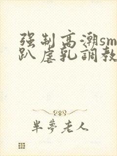 强制高潮sm跪趴虐乳调教