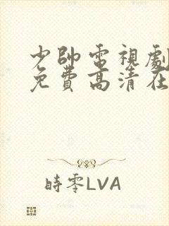 少帅电视剧全集免费高清在线