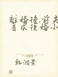 离婚后,前夫哭着求复婚小说全文阅读免费