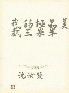 我的极品美女总裁三米半