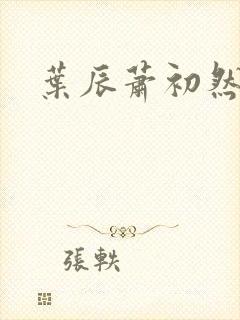 叶辰萧初然全集封面