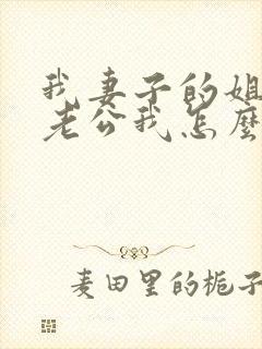 我妻子的姐姐的老公我怎么称呼