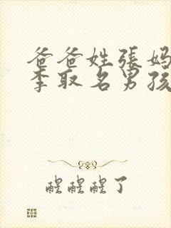 爸爸姓张妈妈姓李取名男孩封面