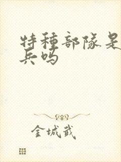 特种部队是特种兵吗