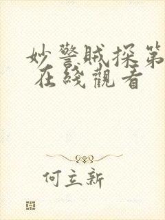 妙警贼探第四季 在线观看封面