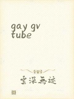 gay gv tube封面