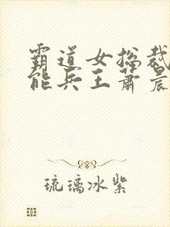 霸道女总裁的全能兵王萧晨