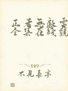 正者无敌电视剧全集在线观看免费封面