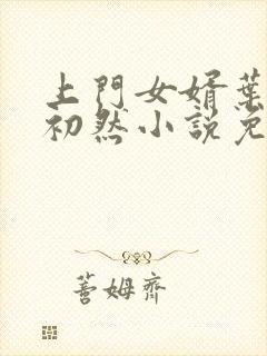 上门女婿叶辰萧初然小说免费