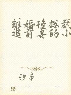 离婚后总裁前夫追前妻的小说大全