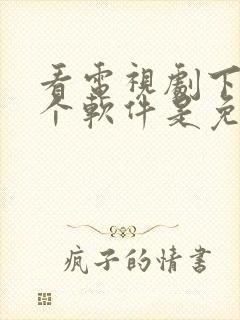 看电视剧下载那个软件是免费的封面